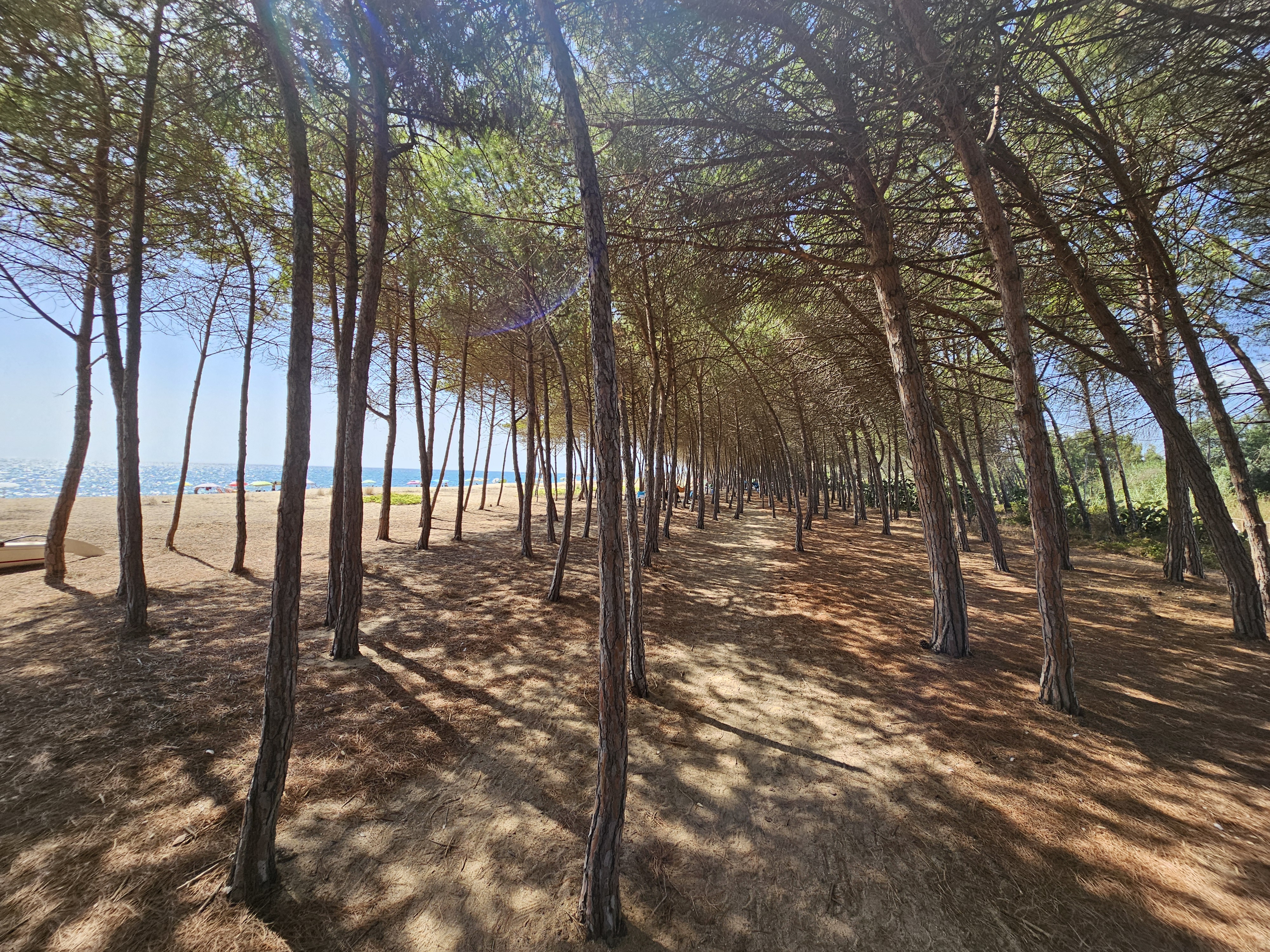 Sardinien 2026 – Tag 6